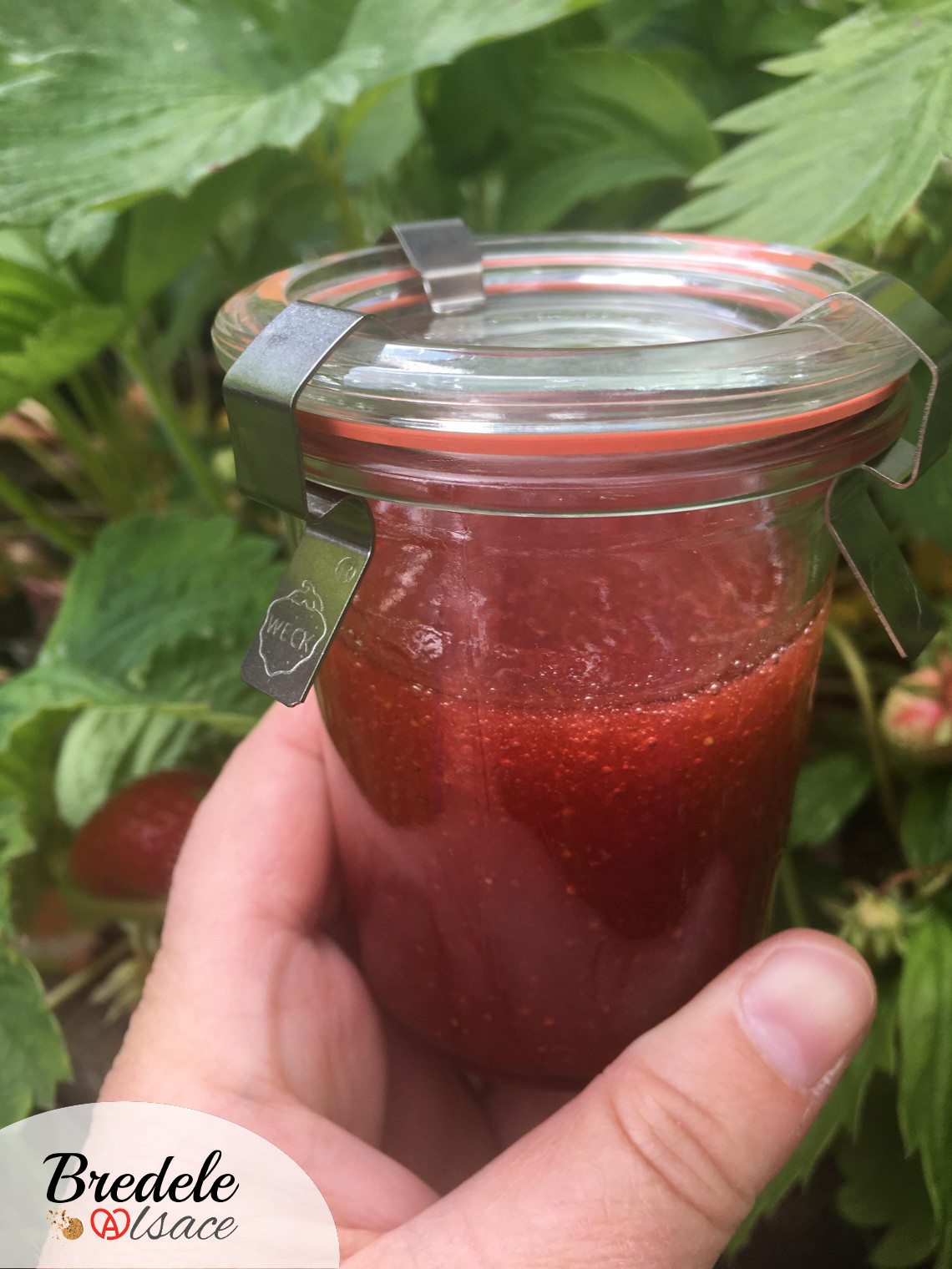 Confiture Fraises Rhubarbe