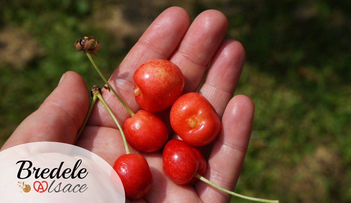 Confiture de Cerises